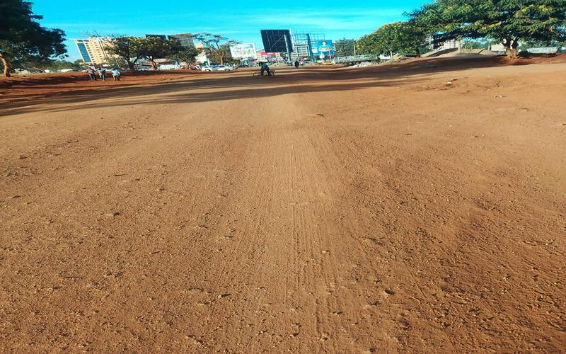 10 Acres for Sale in Gatitu, Thika Town – Ideal for Residential & Rental Developments image by Eloi developers