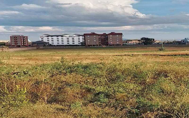 10 Acres for Sale in Gatitu, Thika Town – Ideal for Residential & Rental Developments image by Eloi developers