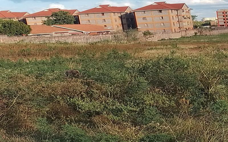 10 Acres for Sale in Gatitu, Thika Town – Ideal for Residential & Rental Developments image by Eloi developers