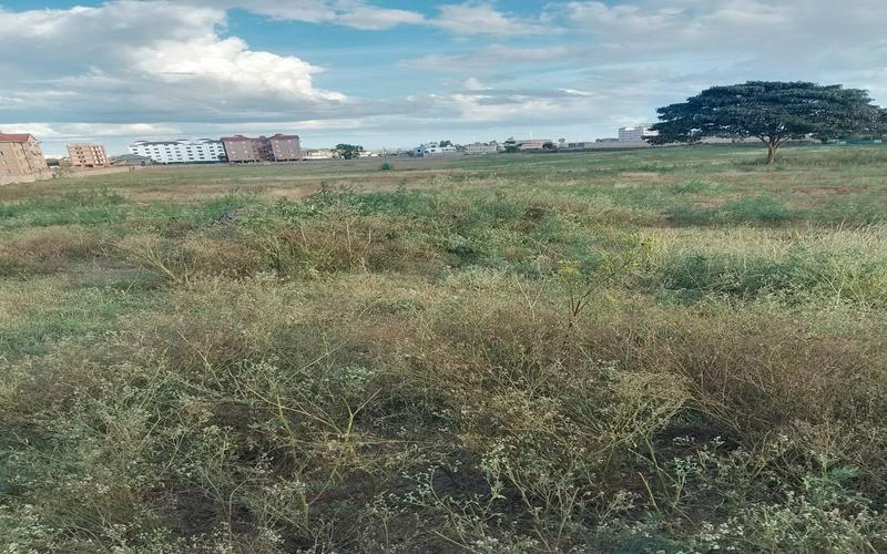 10 Acres for Sale in Gatitu, Thika Town – Ideal for Residential & Rental Developments image by Eloi developers