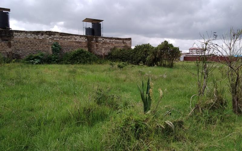 100X100 Plots for sale Kiganjo Makongeni Thika image by Eloi developers