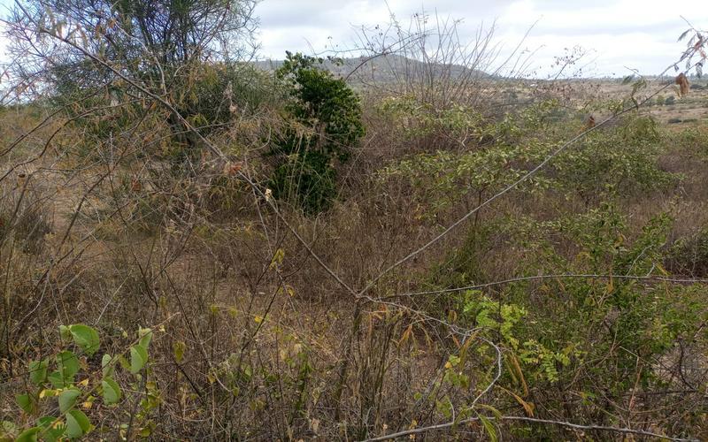 2 Acres of Land on Sale Gatanga Muranga image by Eloi developers