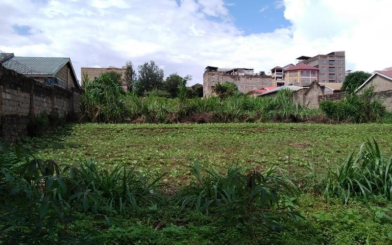 50x100 plot on sale Juja town image by Eloi developers