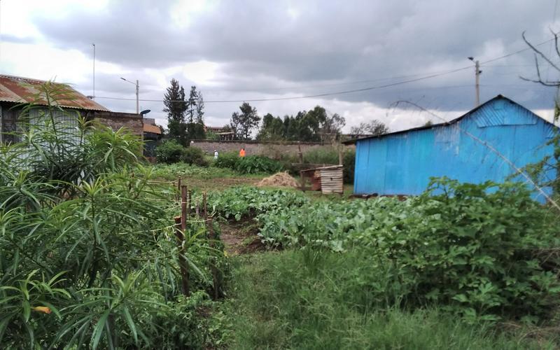 Plot for sale 100X100 100meters from Tarmac Kiganjo Thika  image by Eloi Developers