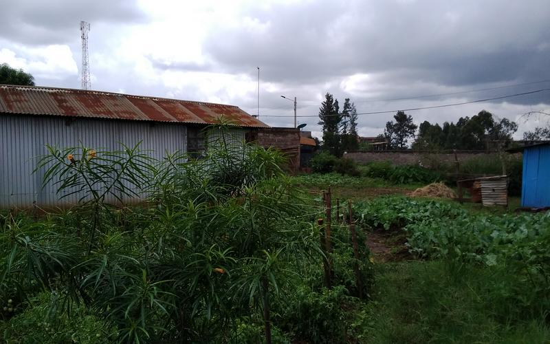 Plot for sale 100X100 100meters from Tarmac Kiganjo Thika  image by Eloi developers