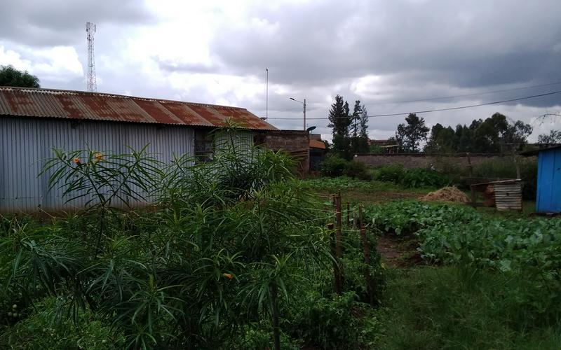 Plot for sale 100X100 100meters from Tarmac Kiganjo Thika  image by Eloi developers