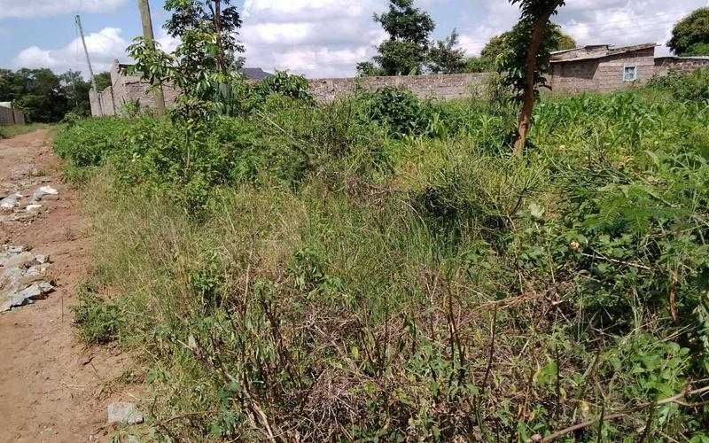 Prime Plots for Sale in Gatuanyaga Thika – Secure Your Land image by Eloi Developers