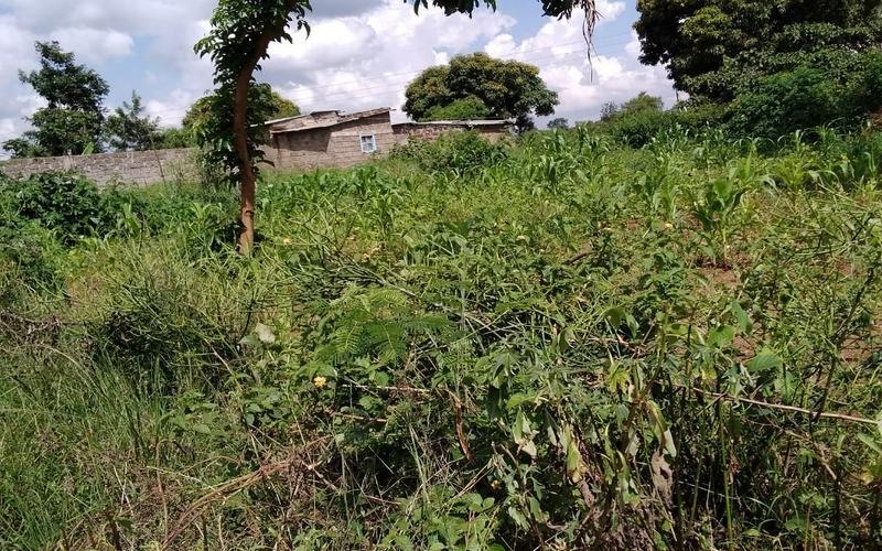 Prime Plots for Sale in Gatuanyaga Thika – Secure Your Land image by Eloi developers