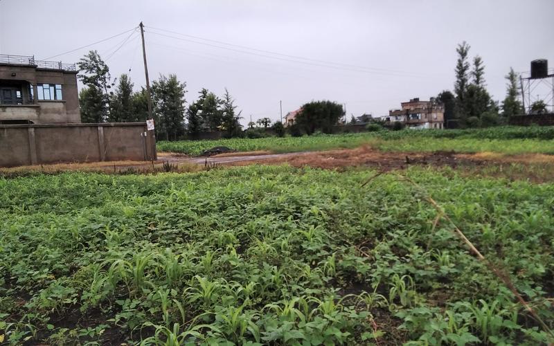 Prime Plot for Sale Githanji, Kabati Kenol  image by Eloi Developers