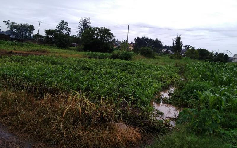 Prime Plot for Sale Githanji, Kabati Kenol  image by Eloi developers