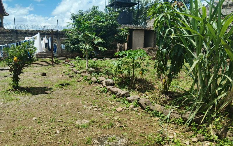 3-Bedroom House for Sale in Githingiri Thika Ksh 7M image by Eloi developers