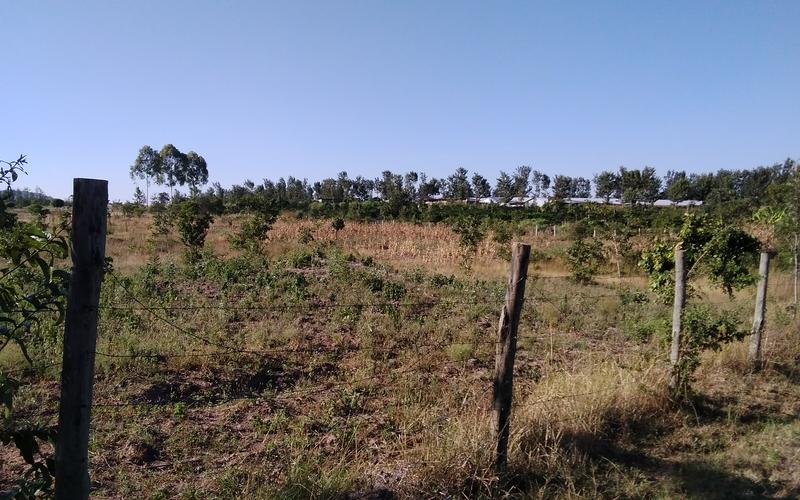 4 Acres of Land for Sale in Kakuzi, Gatiguru Ithanga Farming Investment image by Eloi Developers